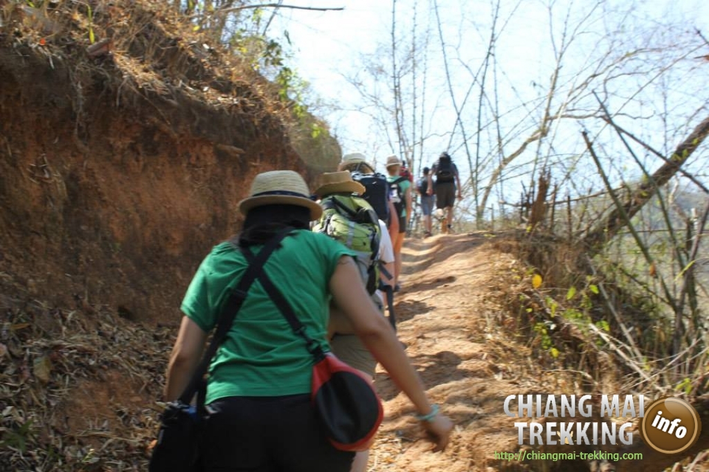 3-days/2-nights Trekking Tour | Chiang Mai Trekking | The best trekking in Chiang Mai with Piroon Nantaya